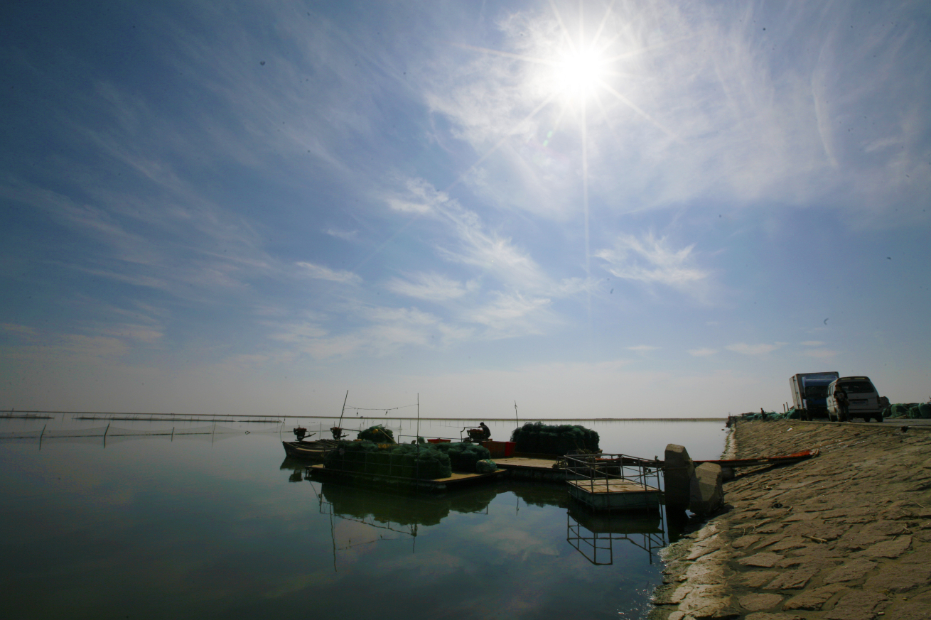 四季的美丽——奉贤海湾 - 上海游记攻略【携程攻略】