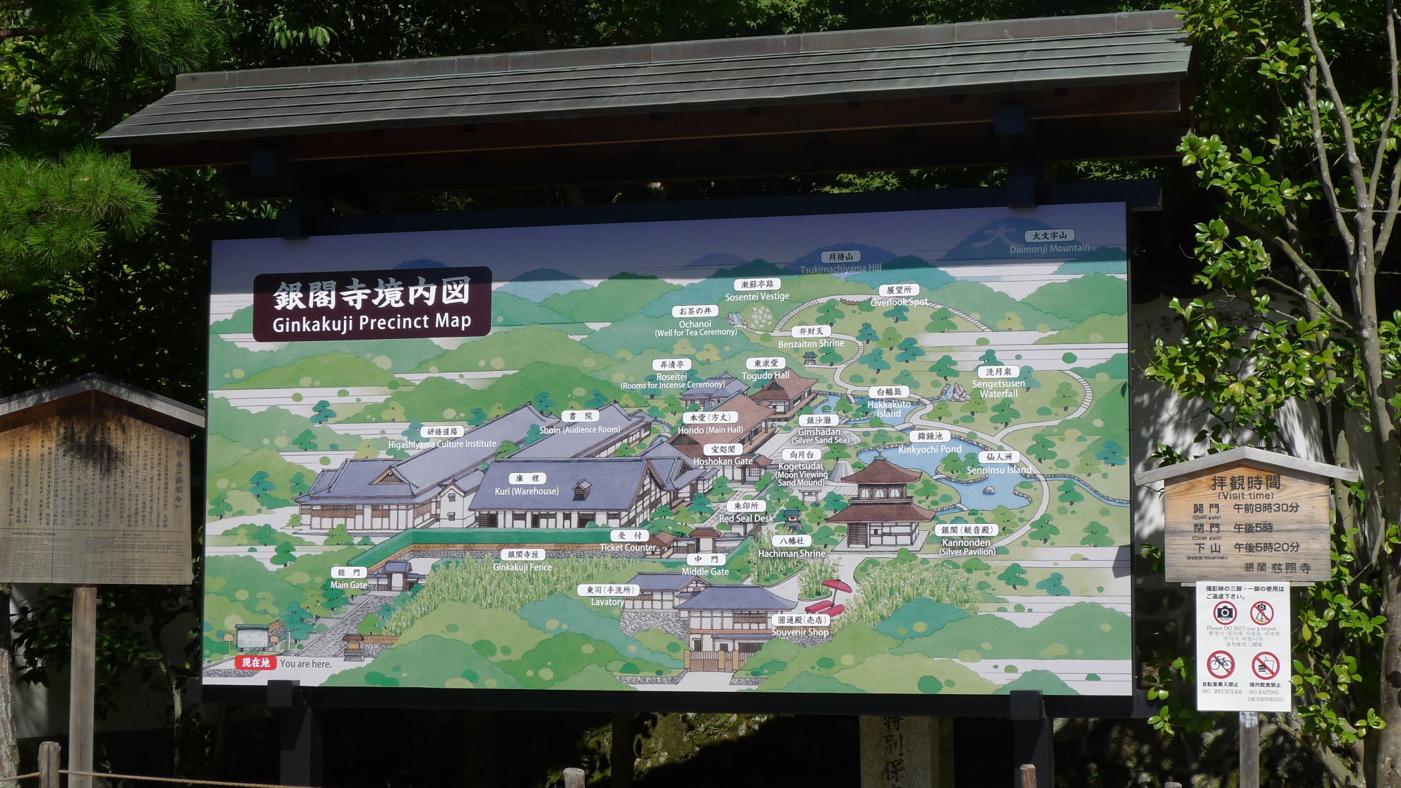 现代和古老的交织,最日本的东京和京都