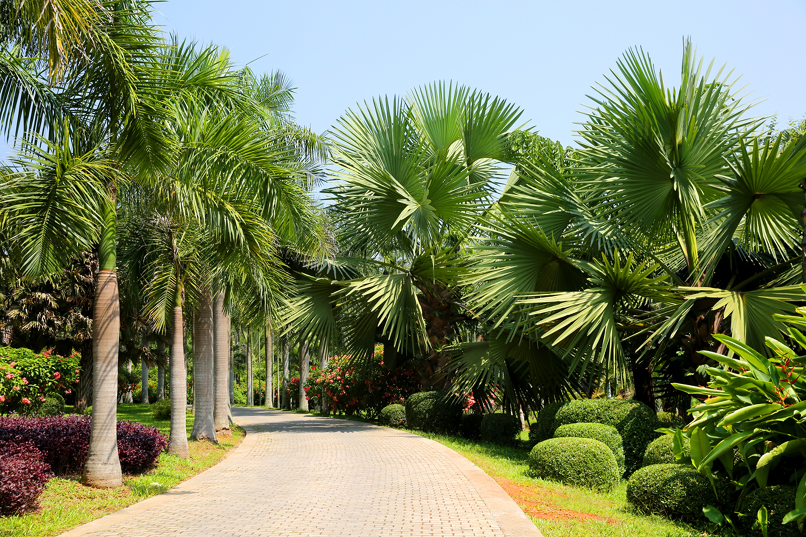 带孩子们游西双版纳