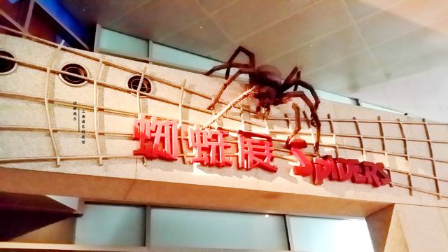 玥游越乐 - 好吃好玩上海科技馆一日游