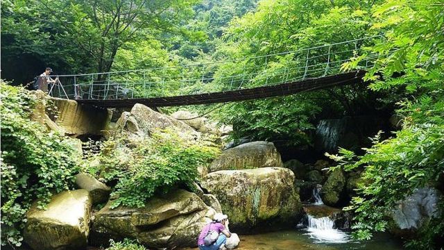 【歡樂暑期,68元特價】安吉浙北大峽谷 生態博物館一日遊