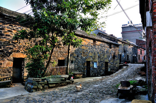 磐安乌石村,农家乐,磐安古茶场