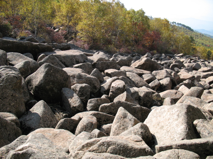 承德石海森林公园游记 - 承德游记攻略【携程攻略】