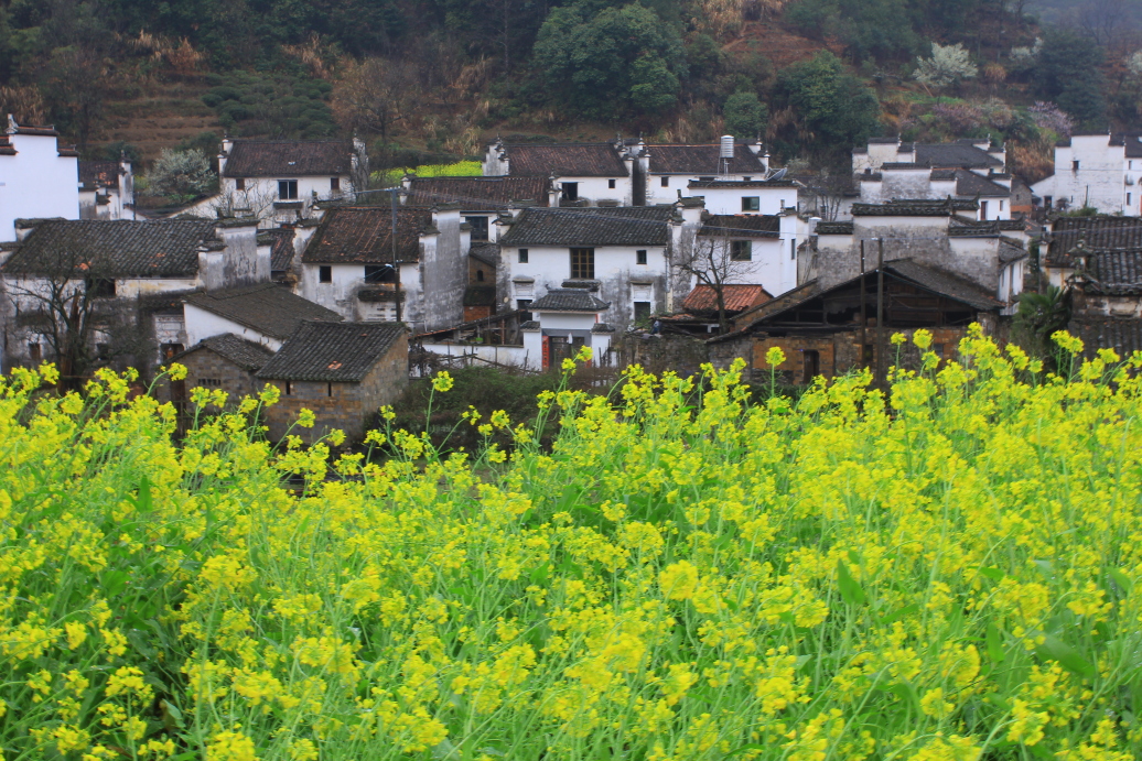 2014春游婺源乡村景观大道