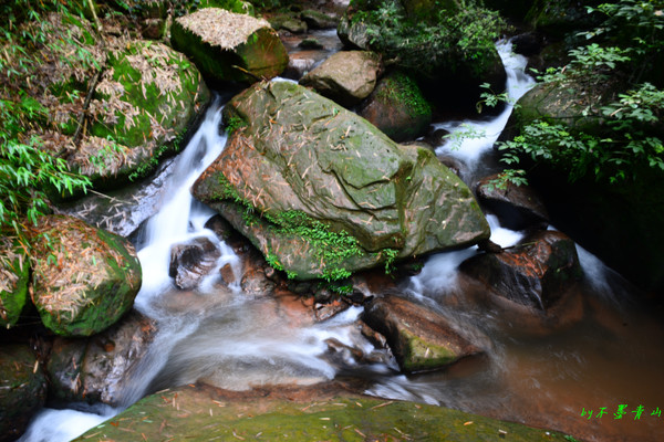凤溪河曲折蜿蜒