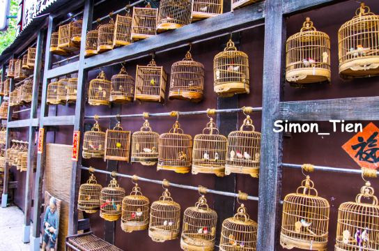 香港 澳门 5日4晚 自由行