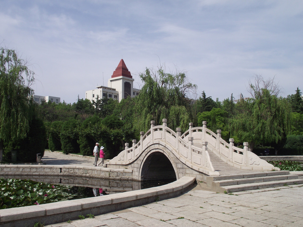 魯東大學的夏天.