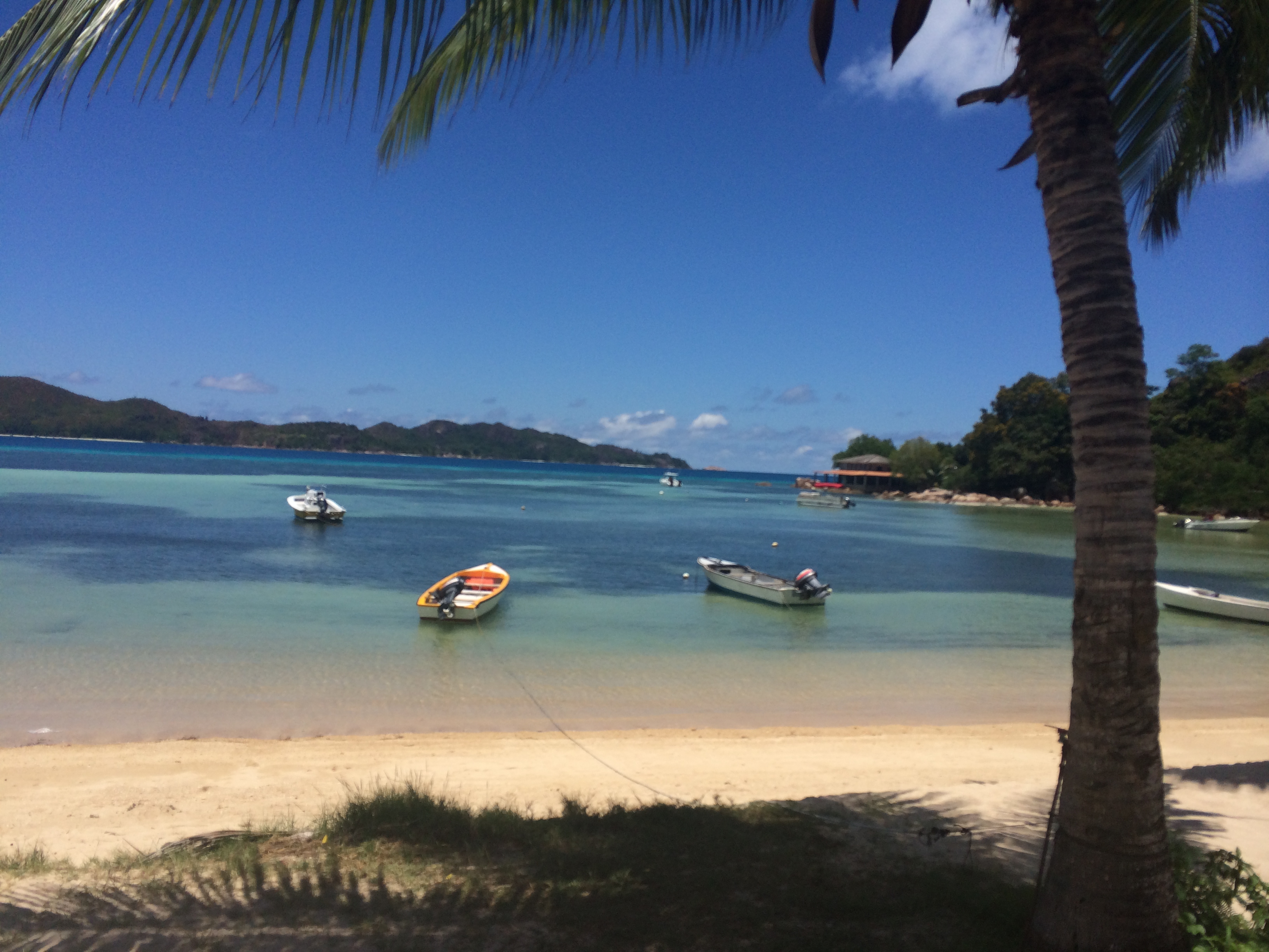 【加游站】塞舌尔 -- 飘洋过海来看海