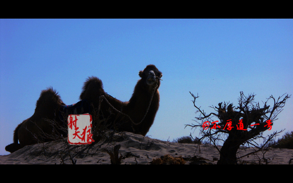 【i游记】西北望 射天狼