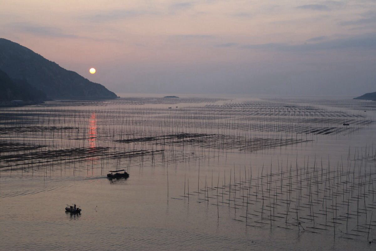 福建霞浦北岐灘塗