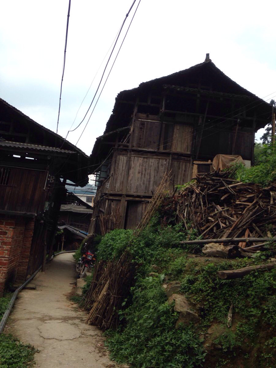 柳州三江县同乐乡四月初八敬牛节