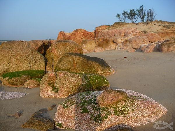 漳浦县人均_漳浦县医院图片(2)