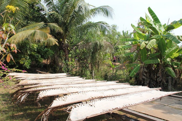 温哥华市内观光亲子游攻略 含签证事宜与美食