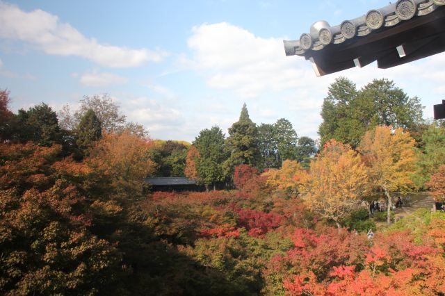 初秋到关西去看枫--京都大阪奈良七日自由行详