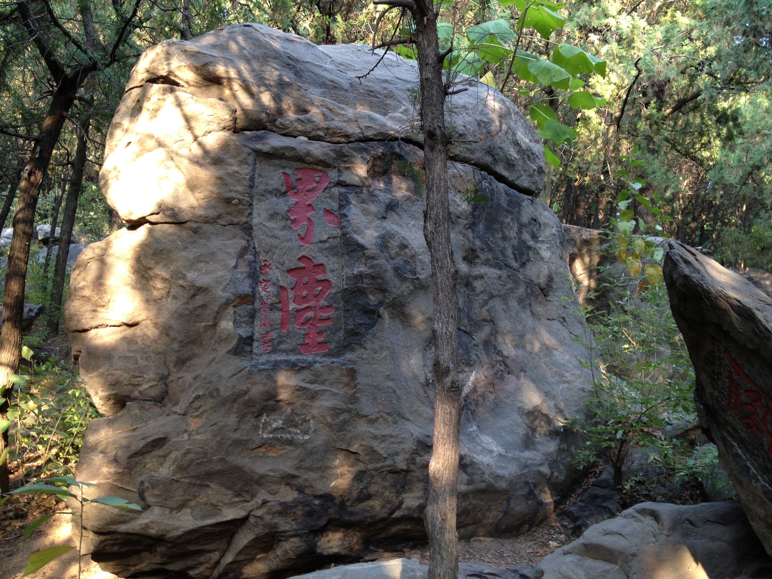 泰山岱庙普照寺一日游