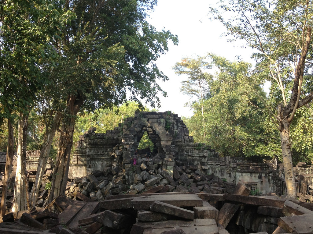          很有丛林神庙探险的味道