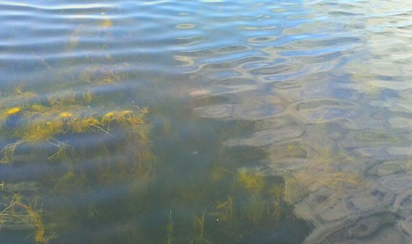 乌拉特前旗旅游怎么样_乌拉特前旗哪里好玩_