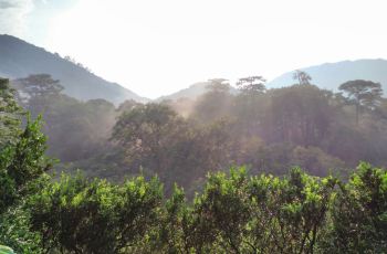 【携程攻略】永春牛姆林自然保护区附近景点,