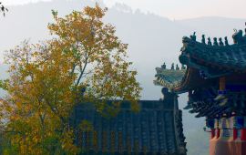 邳州市天气预报 72d7ae0836a8424ab4f86caab73e111e_R_270_170.jpg