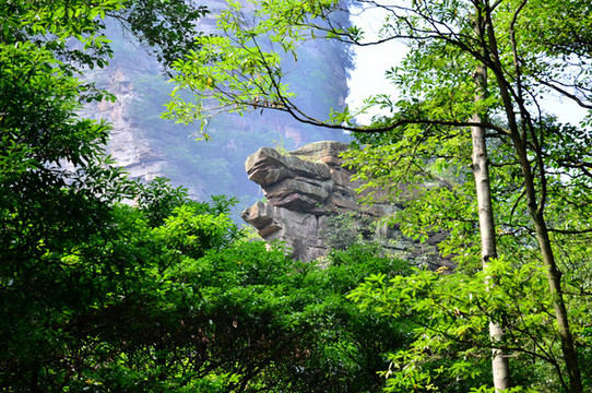 文星岩  文星岩