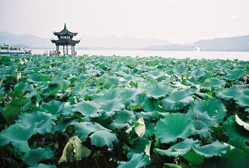 杭州西湖游玩路线及美食攻略 1b6909c6123e42d586e72e30de222edb_R_640_400.jpg