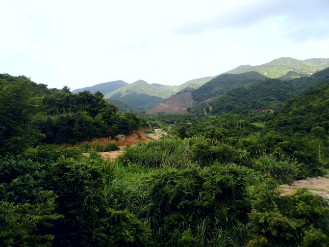 惠东古田自然保护区图片
