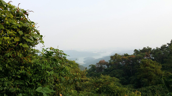 从花都王子山山顶往下俯视花都风景