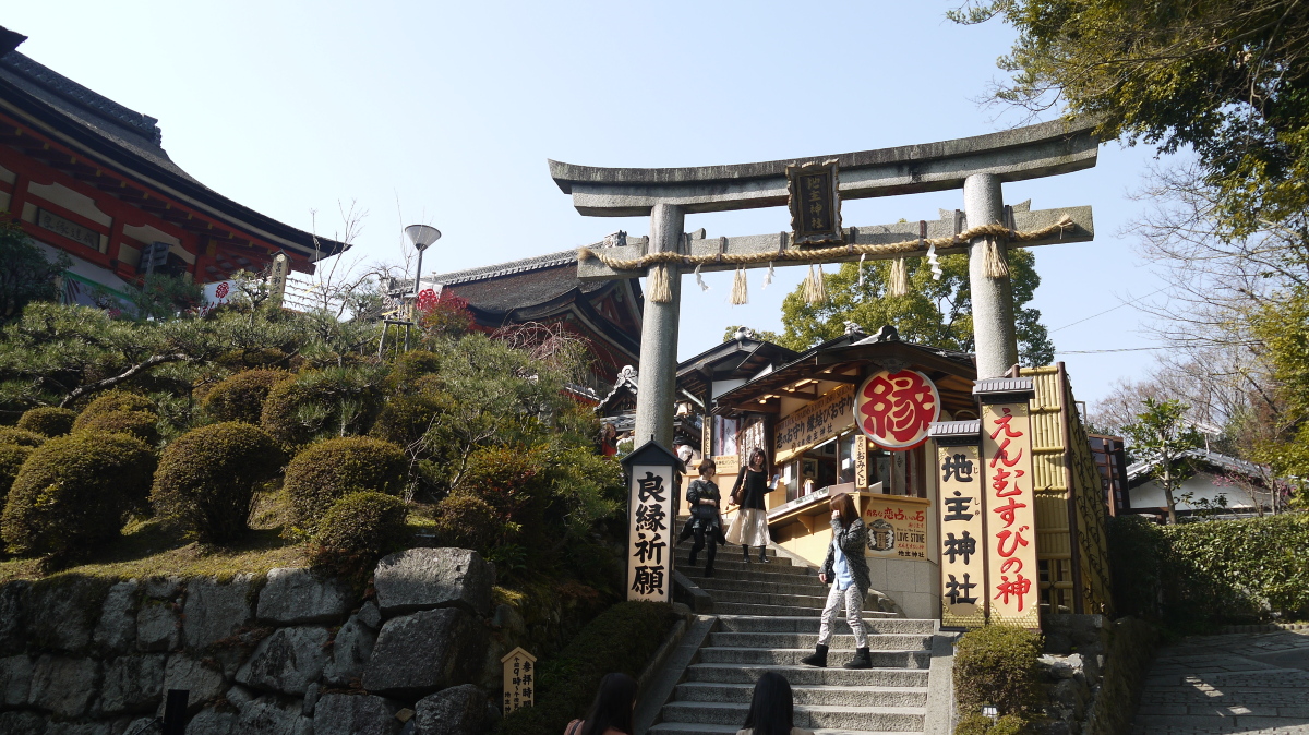 大和之美与东瀛之风——从关西到关东的霓虹之旅