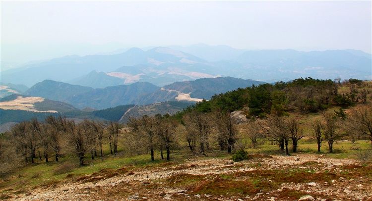 大雷山位于天台县的西南角,是天台,临海,仙居三地交界处,其主峰海拔