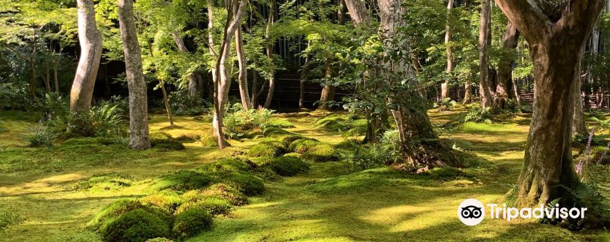 野洲市旅游攻略 4月野洲市 Yasu 自助游 周边自驾 出游 自由行 游玩攻略 携程攻略